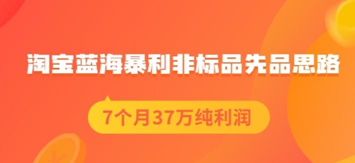盗坤淘宝蓝海暴利非标品先品思路，7个月37万纯利润，压箱干货分享！【付费文章】插图
