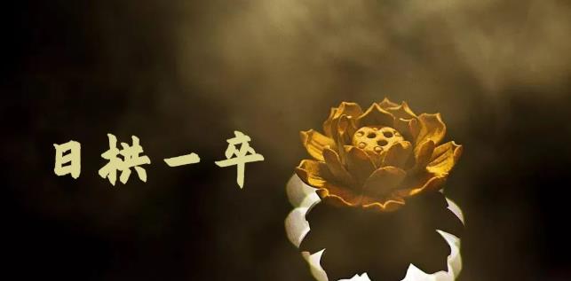 无脑搬砖，普通人可以复制的副业赚钱项目(附软件)插图