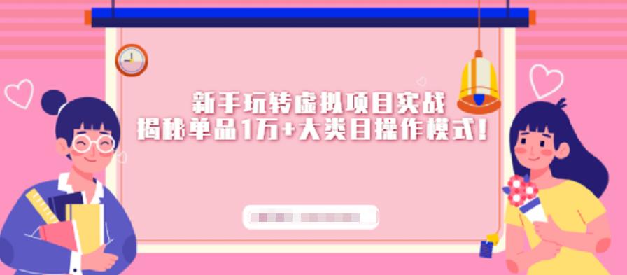 新手玩转虚拟项目实战，揭秘单品1万 大类目操作模式【视频课程】插图