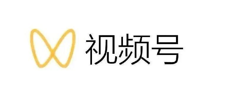 最新视频号解读，视频号真相 变现玩法【视频课程】插图
