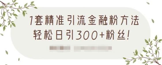 1套精准引流金融粉方法，轻松日引300 粉丝【视频课程】插图
