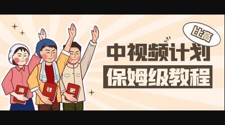 中视频项目，目前靠这个项目养了11人团队【视频课程】插图
