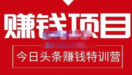 懒人领域·今日头条项目玩法，头条中视频项目，单号收益在50—500可批量插图