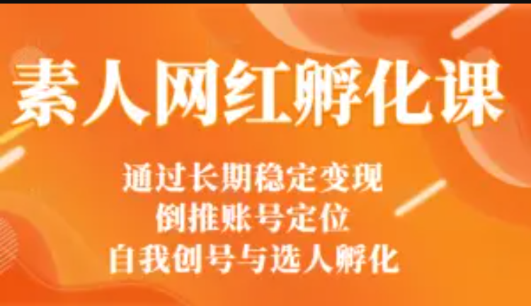 马大个素人网红孵化课：通过长期稳定变现，倒推账号定位，自我创号与选人孵化插图