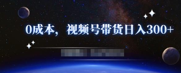 零基础视频号带货赚钱项目，0成本0门槛轻松日入300 【视频教程】插图