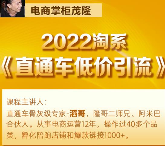 茂隆2022直通车低价引流玩法，教大家如何低投入高回报的直通车玩法插图