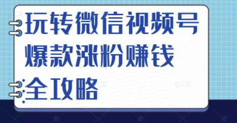 玩转微信视频号爆款涨粉赚钱全攻略，让你快速抓住流量风口，收获红利财富插图