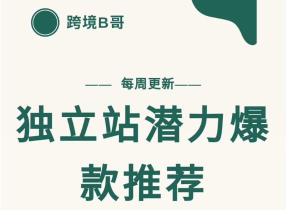 【跨境B哥】独立站潜力爆款选品推荐，测款出单率高达百分之80（每周更新）插图