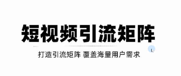 短视频引流矩阵打造，SEO 二剪裂变，效果超级好！【视频教程】插图