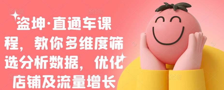 盗坤·直通车课程，教你多维度筛选分析数据，优化店铺及流量增长插图
