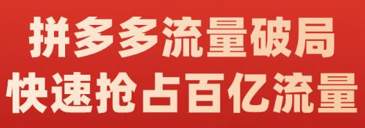 阿杰·拼多多流量破局:如何打黑标，爆款的思路，拼多多流量框架，快速抢占百亿流量插图