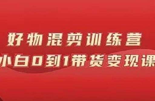 万三好物混剪训练营：小白0到1带货变现课插图