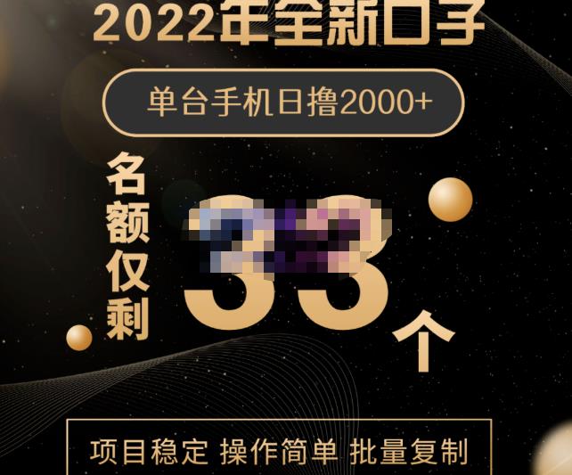 2022年全新口子，手机批量搬砖玩法，一部手机日撸2000插图