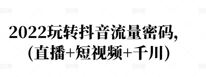 2022玩转抖音流量密码，(直播 短视频 千川)插图