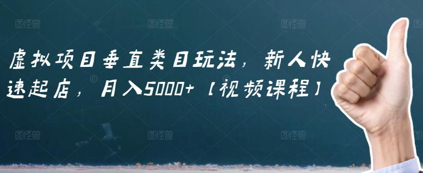 虚拟项目垂直类目玩法，新人快速起店，月入5000 【视频课程】插图