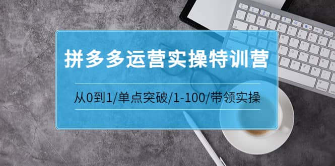 青云:拼多多运营实操特训营：从0到1/单点突破/1-100/带领实操 价值2980元插图