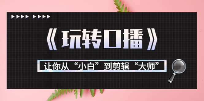 月营业额700万 大佬教您《玩转口播》让你从“小白”到剪辑“大师”插图
