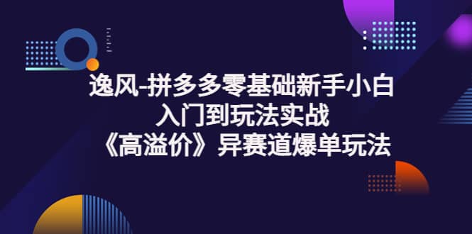 拼多多零基础新手小白入门到玩法实战《高溢价》异赛道爆单玩法实操课插图