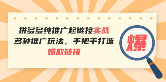 拼多多纯推广起链接实战：多种推广玩法，手把手打造爆款链接插图