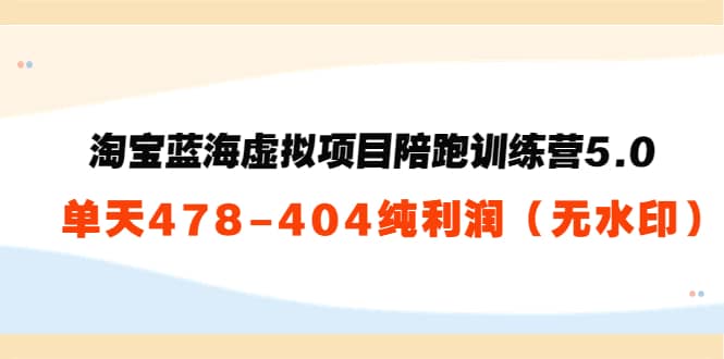 黄岛主：淘宝蓝海虚拟项目陪跑训练营5.0：单天478纯利润（无水印）插图
