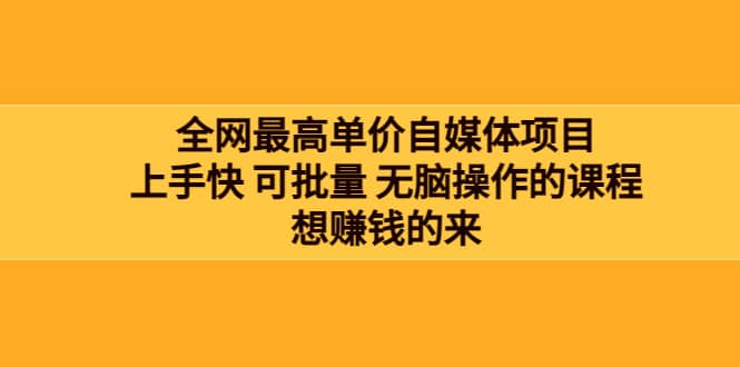全网最单高价自媒体项目：上手快 可批量 无脑操作的课程，想赚钱的来插图