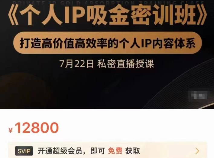 个人IP吸金密训班，打造高价值高效率的个人IP内容体系（价值12800元）插图