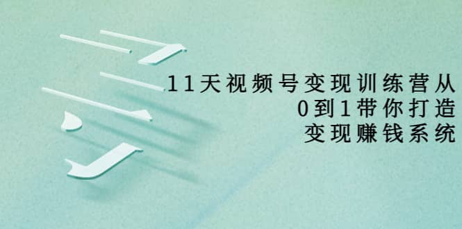 好望角·11天视频号变现训练营，从0到1打造变现赚钱系统（价值398）插图