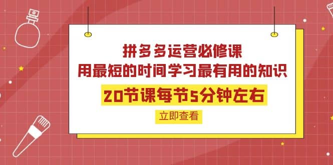 拼多多运营必修课：20节课每节5分钟左右，用最短的时间学习最有用的知识插图