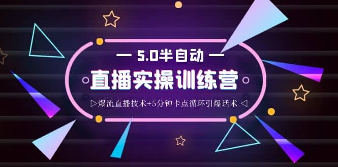蚂蚁·5.0半自动直播2345打法，半自动爆流直播技术 5分钟卡点循环引爆话术插图