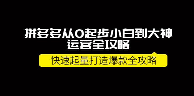 拼多多从0起步小白到大神运营全攻略插图