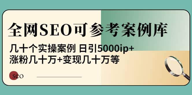 《全网SEO可参考案例库》几十个实操案例插图