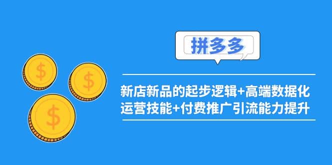 2022拼多多：新店新品的起步逻辑 高端数据化运营技能 付费推广引流能力提升插图