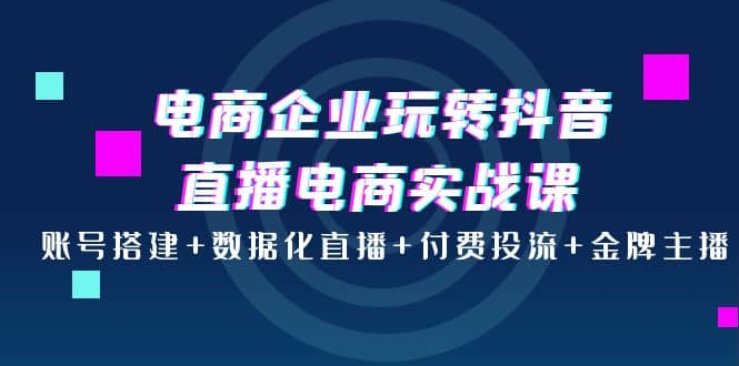 电商企业玩转抖音直播电商实战课：账号搭建 数据化直播 付费投流 金牌主播插图