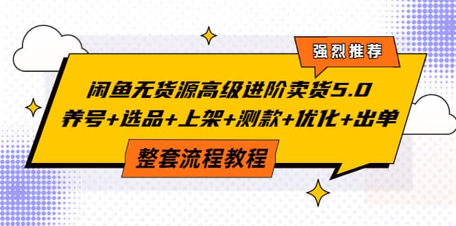 闲鱼无货源高级进阶卖货5.0，养号 选品 上架 测款 优化 出单整套流程教程插图
