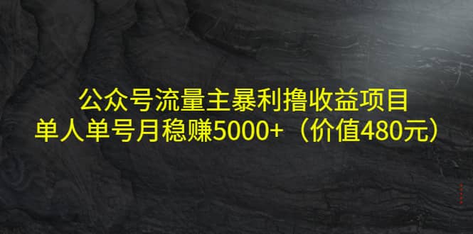 公众号流量主暴利撸收益项目，单人单号月稳赚5000 （价值480元）插图