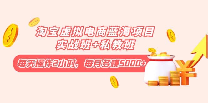 淘宝虚拟电商蓝海项目实战班 私教班插图