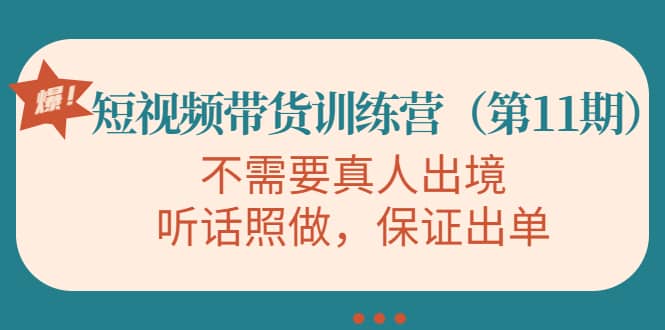 短视频带货训练营（第11期），不需要真人出境，听话照做，保证出单插图