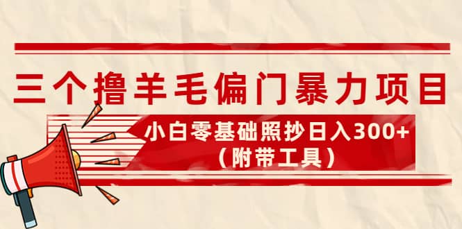 外面卖998的三个撸羊毛项目，小白零基础照抄（附带工具）插图