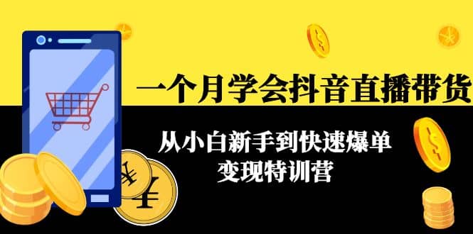 一个月学会抖音直播带货：从小白新手到快速爆单变现特训营(63节课)插图