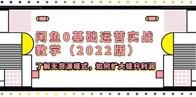 闲鱼0基础运营实战教学（2022版）了解无货源模式，如何扩大提升利润插图