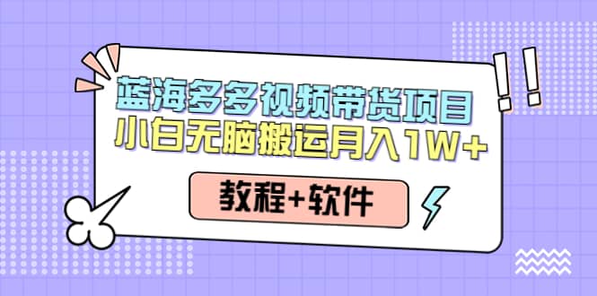 人人都能操作的蓝海多多视频带货项目 小白无脑搬运（教程 软件）插图