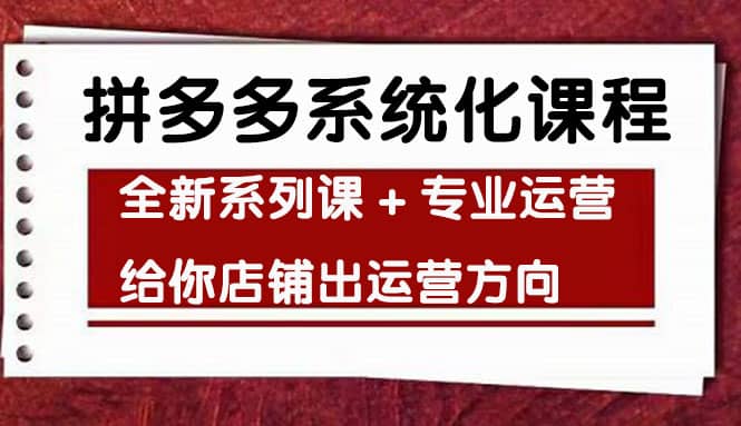 车神陪跑，拼多多系统化课程，全新系列课 专业运营给你店铺出运营方向插图