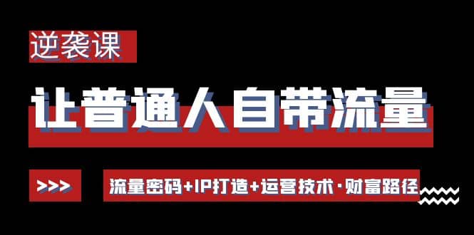 让普通人自带流量的逆袭课：流量密码 IP打造 运营技术·财富路径插图