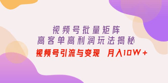 视频号批量矩阵的高客单高利润玩法揭秘插图