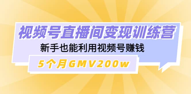 视频号直播间变现训练营插图