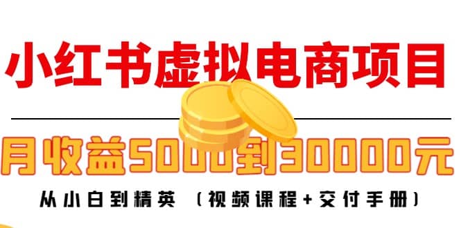 小红书虚拟电商项目：从小白到精英 (视频课程 交付手册)插图
