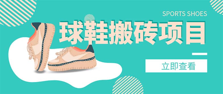 外面收费998的球鞋搬砖项目【详细教程 资源渠道】插图