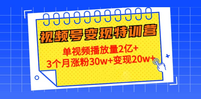 20天视频号变现特训营：单视频播放量2亿插图