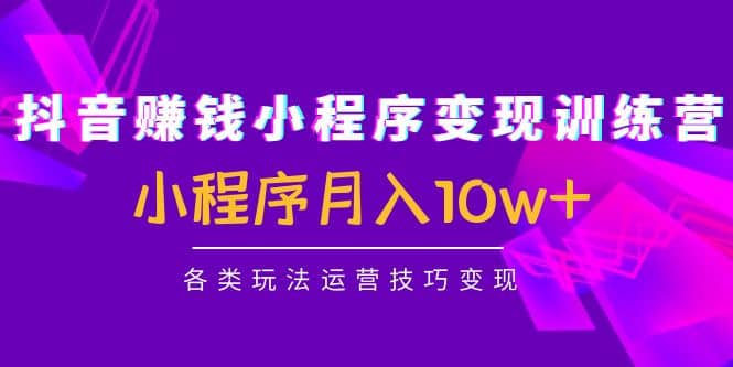 抖音小程序变现训练营：小程序各类玩法运营技巧变现插图