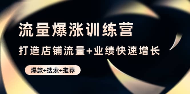 流量爆涨训练营：打造店铺流量 业绩快速增长 (爆款 搜索 推荐)插图